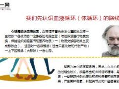 每日健康下蹲五分钟等于步行一小时17页.ppt