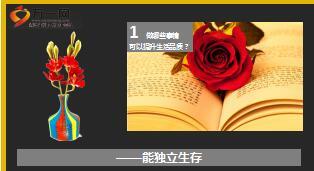 每日鸡汤这就是贵族精神也是人生的无价之宝.rar