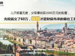 儿子挥霍无度父母要收回2000万元的别墅15页.ppt