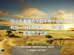 印小天离婚损失超千万但不包括一分钱保险金14页.ppt