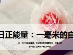 每日正能量一毫米的自信12页.ppt