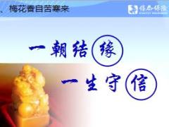 信泰人寿公司简介四海信天下泰28页.ppt