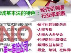 嘉诚寿险基本法解读含备注39页.ppt