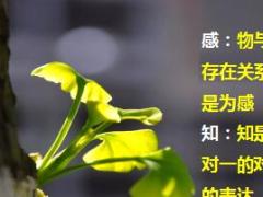 如何让客户感知保险存在27页.ppt
