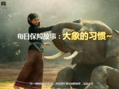 每日保险故事大象的习惯5页.ppt