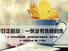 每日正能量一条没有鱼鳔的鱼14页.ppt