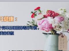 每日健康这6个简单的睡前排毒好习惯可以美容养颜8页.ppt