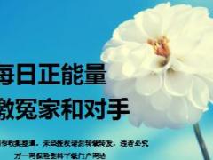 每日正能量感激冤家和对手9页.ppt