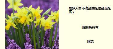 每日快乐早会17年6月14日使用15页.ppt