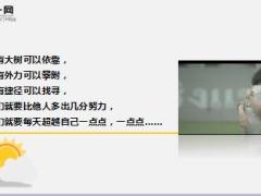 泰国广告努力一点点14页.ppt
