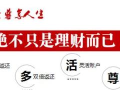 君康尊享人生理财计划中介渠道宣导稿27页.ppt
