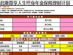 君康尊享人生终身年金保险计划书建议书4页.xls