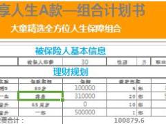 大童童享人生A款保障计划书6页.xls