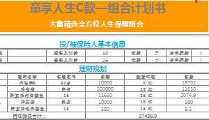 大童童享人生C款保障计划书6页.xls