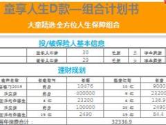 大童童享人生D款保障计划书6页.xls