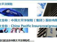 助理组训资格培训班课程4太平洋公司介绍66页.ppt
