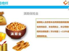 国寿乐居宝两全保险尊享版产品宣导课件22页.ppt
