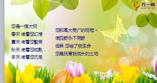 鲜艳花朵庆生早会流程14页.ppt