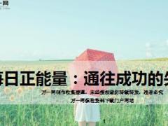 每日正能量通往成功的失误11页.ppt