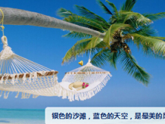 助理组训资格培训班课程8保险的意义与功用101页.ppt