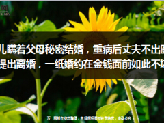 女儿瞒着父母秘密结婚重病后丈夫不出医药费还提出离婚14页.ppt