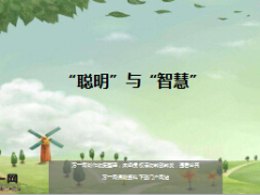 每日鸡汤聪明与智慧.rar