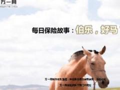 每日保险故事伯乐好马5页.ppt
