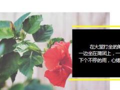 每日正能量心有阳光8页.ppt