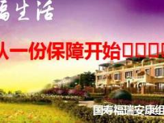 国寿福瑞安康年金保险产品组合介绍43页.ppt