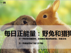 每日正能量野兔和猎狗9页.ppt
