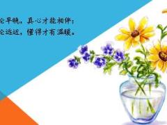每日鸡汤风雨会考验最暖的陪伴.rar