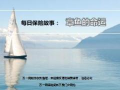 每日保险故事章鱼的命运7页.ppt