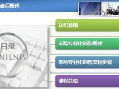 助理组训资格培训二课程1专业化销售流程概述20页.ppt