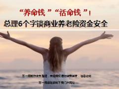 总理6个字谈商业养老险资金安全13页.ppt