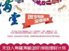 天安人寿福满堂2017理财计划X展架吊旗折页海报计划书市调表.rar
