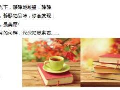 每日鸡汤生活总是在最苦最难时绽放美丽.rar