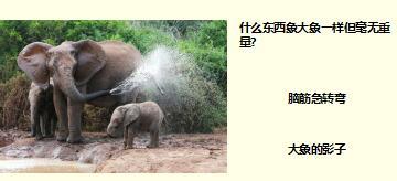 每日快乐早会17年6月30日使用15页.ppt