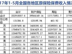 2017年前5月全国各省市原保险保费收入排名表.xls