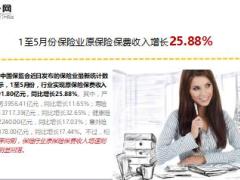 2017年前5月数据保险业概览9页.ppt