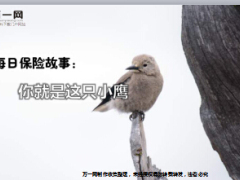 每日保险故事你就是这只小鹰9页.ppt