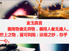 每日正能量带伤疤的苹果10页.ppt