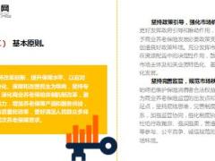 国务院办公厅印发关于加快发展商业养老保险的若干意见22页.ppt