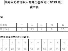 国寿安心贷借款人意外伤害保险2013版费率表1页.doc