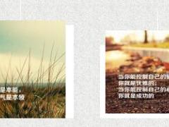 每日鸡汤情绪是智慧不够的结果.rar