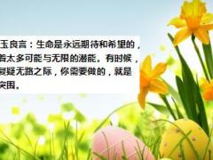 每日正能量向自己突围13页.ppt