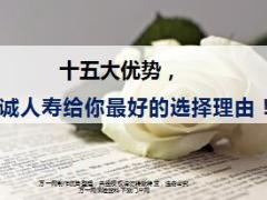 信诚人寿十五大优势介绍17页.ppt