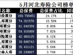 河北省2017年前5月寿险公司总保费排行榜.xls