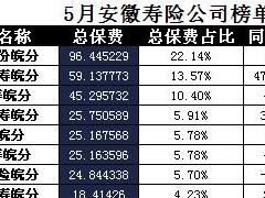 安徽省2017年前5月寿险公司总保费排行榜.xls