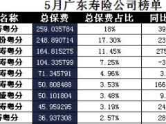 广东省2017年前5月寿险公司总保费排行榜.xls