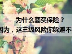 因为这三级风险你躲避不掉所以要买保险10页.ppt